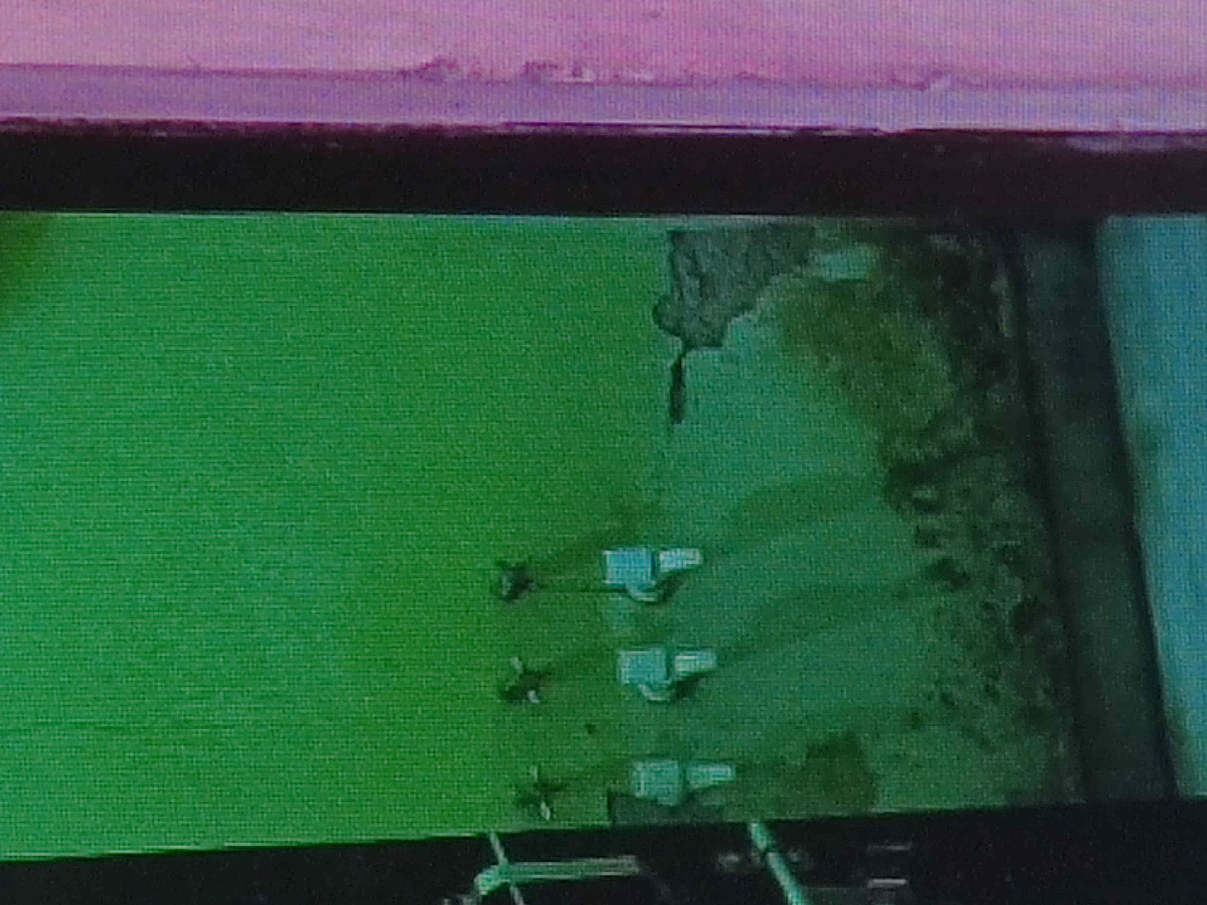 Default Image