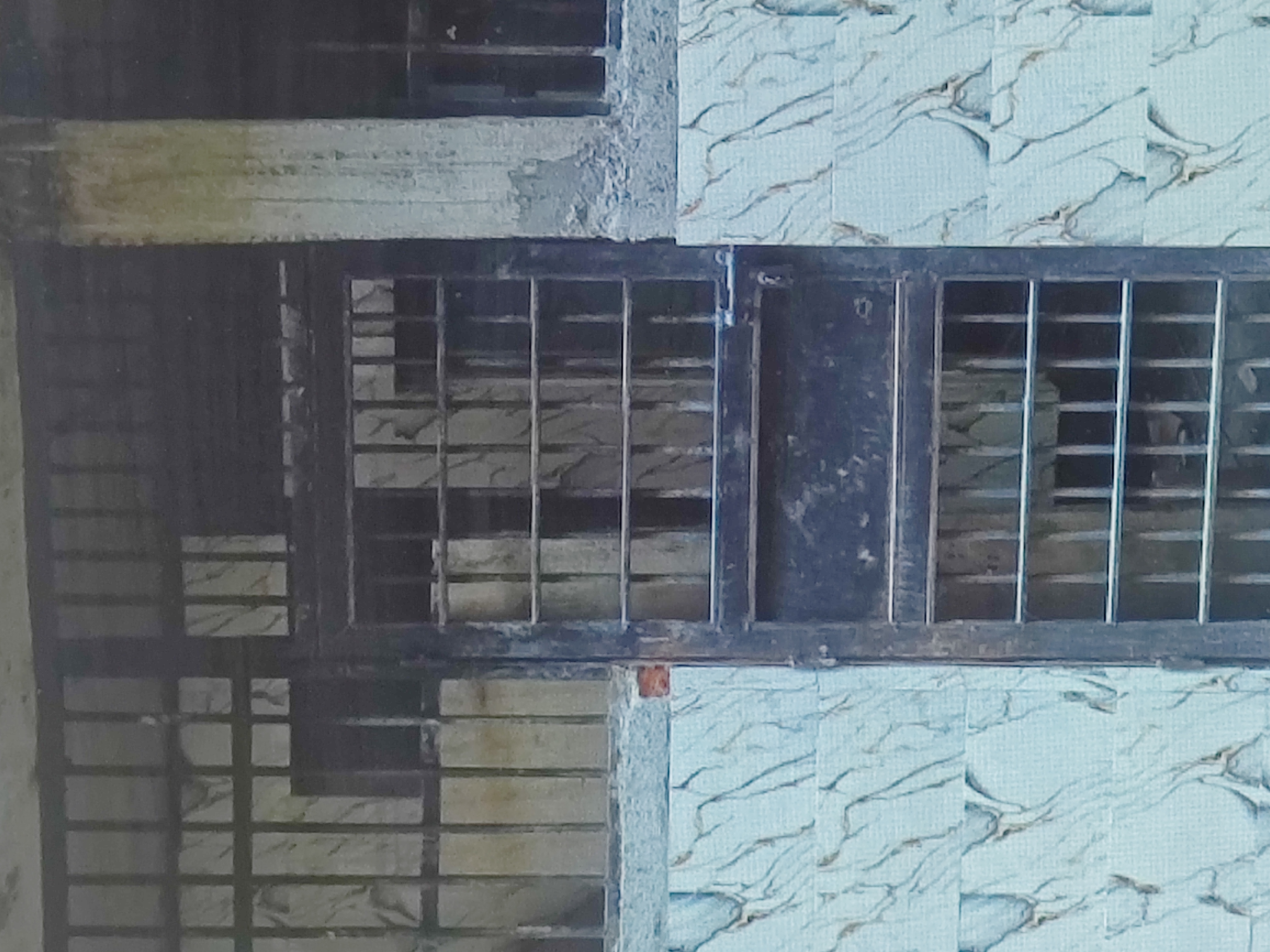 Default Image